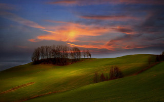 Field trees sunset clouds hill - tree and a sunset in the background free wallpaper