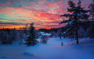 Sunset snowy forest red house - bruno liljefors free wallpaper