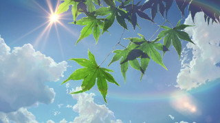 Green leafy tree branch rainbow - a green leafy tree branch free wallpaper