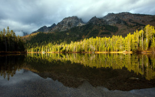 Mountain lake forest starry sky - green foliage free wallpaper