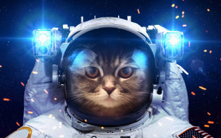 Cat astronaut light stars space - space free wallpaper for desktop