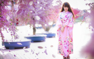 Pink kimono woman falling petals - the branch free wallpaper