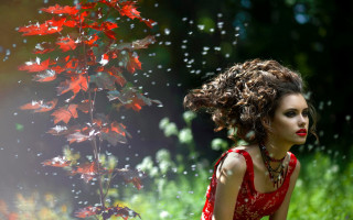 Woman red dress flower field 3 - a red flower in the foreground free wallpaper