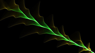 Green plant long leaves generative - thin free wallpaper