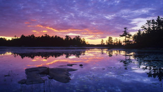 Lake sunset trees purple sky - david lachapelle free wallpaper