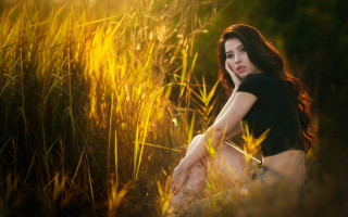 Woman tallgrass crossedlegs sunshine portrait - her face free wallpaper for desktop