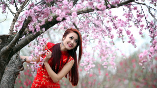 Red dress pink flower portrait - fei danxu free wallpaper