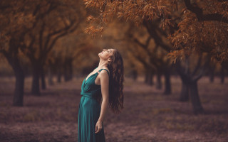 Woman green dress forest autumn - the wind free wallpaper