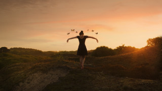 Woman outstretched arms birds sunset - bird free wallpaper for desktop