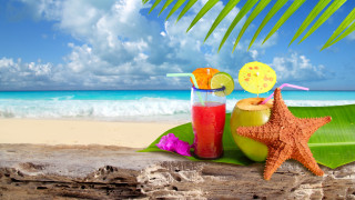 Starfish beach drink palm summer - felipe seade free wallpaper for desktop