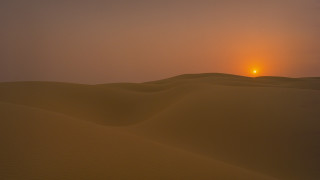 Sunset desert lone bird hazy - a sunset over a desert free wallpaper