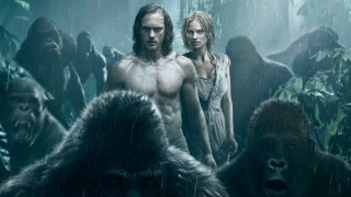 Man woman gorillas jungle background 2 - the jungle free wallpaper