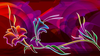 Colorful flower red purple red - a red flower free wallpaper
