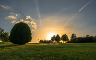 Field tree plane sunset clouds - a few cloud free wallpaper