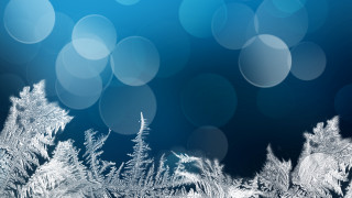Blue snowflakes blurry tree matte - free christmas wallpaper