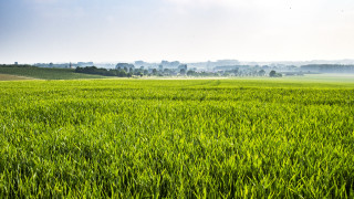 Green field town foggy sky - the distance free wallpaper