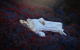 Woman flower field white dress 2 - a field of flowers free wallpaper