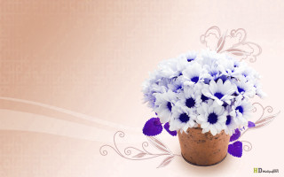 Blue white flowers vase pink - a vase free wallpaper