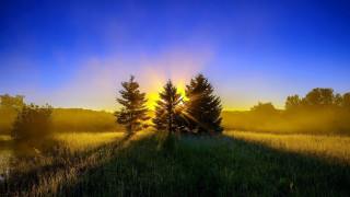 Crepuscular forest lake sunset puzzle - tree and a body of water free wallpaper