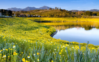 Flower field lake mountains house - free spring wallpaper