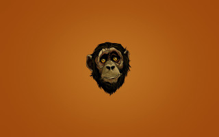 Monkey face orange background black - alex petruk ape free wallpaper