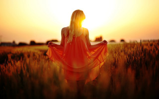 Woman red dress sunset field 2 - sunlight free wallpaper