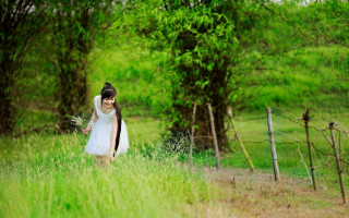 Woman white dress field flowers - chen lin free wallpaper