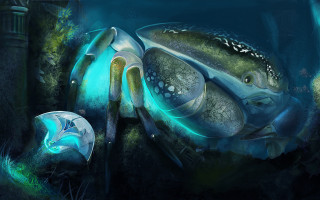 Turtle glowing biology fantasy underwater - a blue light free wallpaper