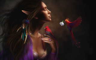 Woman bird flower elf fantasy - her shoulder free wallpaper
