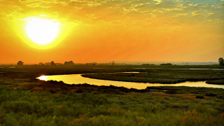 Sunset river grassy field trees - a sunset over a river free wallpaper