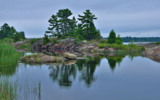 Lake forest bridge sky nature - anne rigney free wallpaper