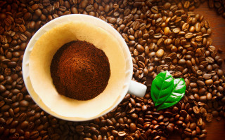 Coffee leaf beans food product - coffee bean free wallpaper