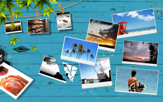 Pictures wall tree person surfboard - a bunch of pictures free wallpaper
