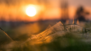 Grass sunset mountain fire fullmoon - dof free wallpaper