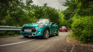 Blue mini cooper forest road - a forest of trees and bushes free wallpaper