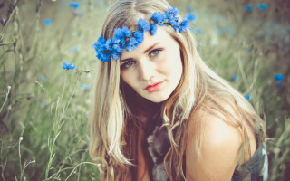 Blue flower hair field portrait - a field of flowers free wallpaper