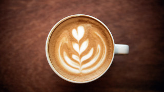 Coffee leaf design brassai product - product photo free wallpaper