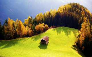 Small cabin autumn landscape matte - a shadow of a tree free wallpaper