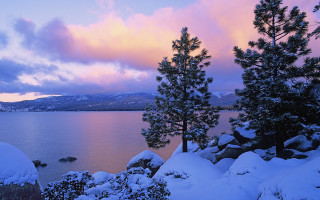 Lake snow trees pink sky - bob ross free wallpaper