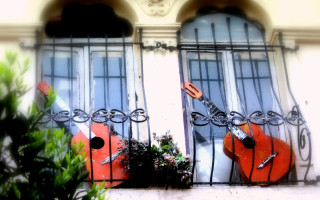 Guitars window sill plant folk - composition free wallpaper