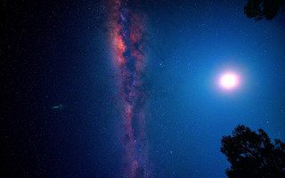 Bright light night sky trees - david boyd free wallpaper