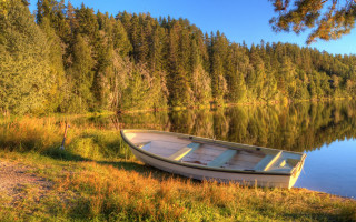 Lake shore forest autumn impressionist - impressionist free wallpaper