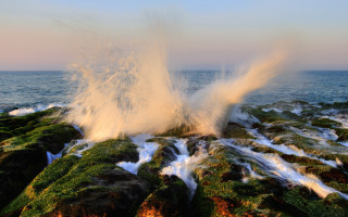 Wave rock mossy shore sunset - the ocean shore free wallpaper