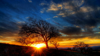 Tree hill sunset clouds trail - a hill free wallpaper