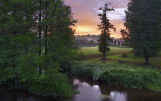 River forest field trees mountain - arvid nyholm free wallpaper