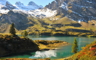 Mountain lake autumn leaves nature - mountain in the background free wallpaper