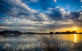 Lake sunset clouds grass matte - crepuscular ray free wallpaper