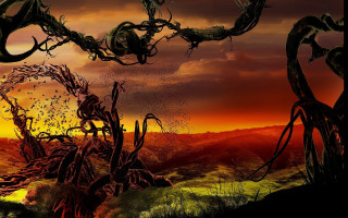 Sunset tree birds fire dragon - a sunset in the background and birds free wallpaper