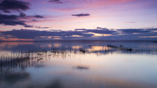 Water plants boats sky clouds - a few boat free wallpaper