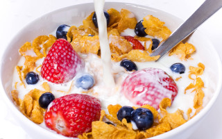 Cereal yogurt fruit spoon closeup - professional free wallpaper